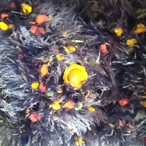 Fussy Blue Crossover Purse - Picture 8 of 8